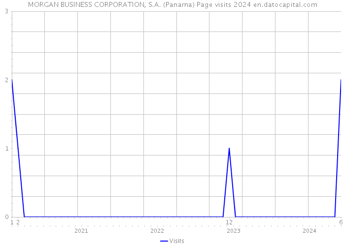 MORGAN BUSINESS CORPORATION, S.A. (Panama) Page visits 2024 