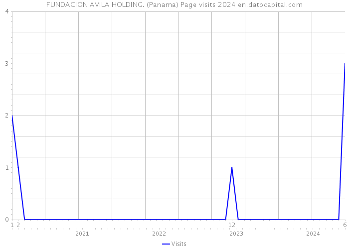 FUNDACION AVILA HOLDING. (Panama) Page visits 2024 