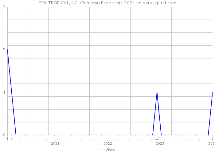 SOL TROPICAL,INC. (Panama) Page visits 2024 