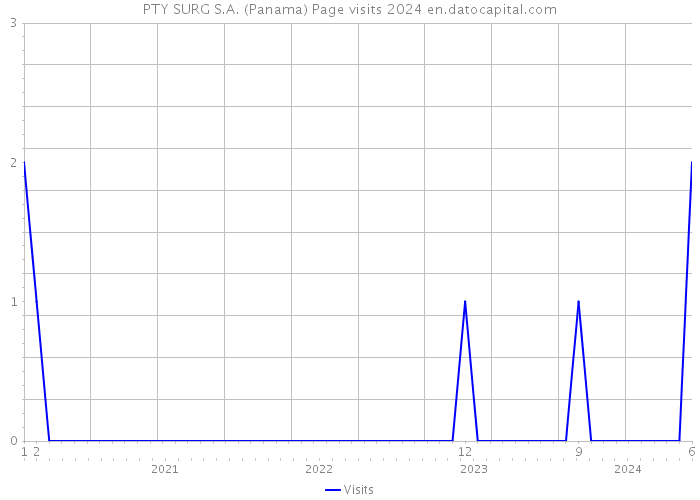 PTY SURG S.A. (Panama) Page visits 2024 