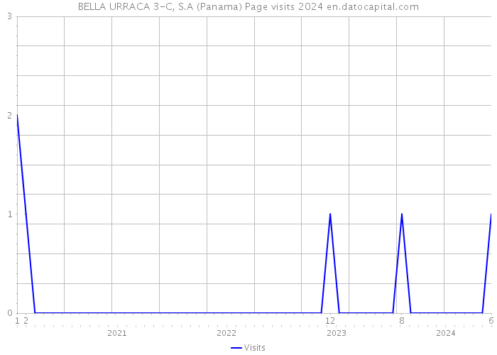 BELLA URRACA 3-C, S.A (Panama) Page visits 2024 
