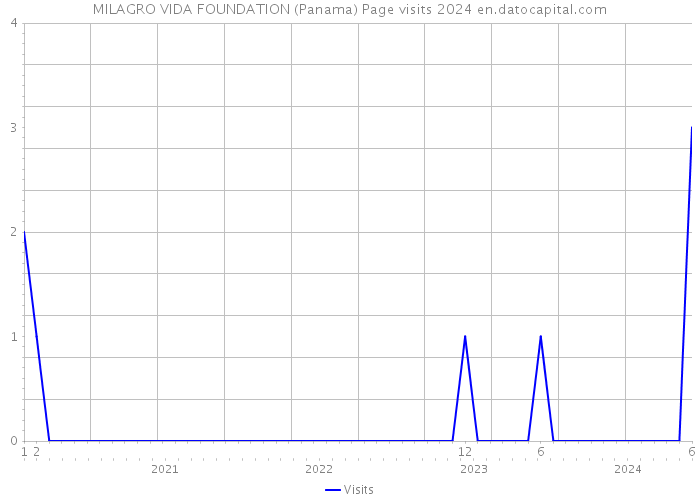 MILAGRO VIDA FOUNDATION (Panama) Page visits 2024 
