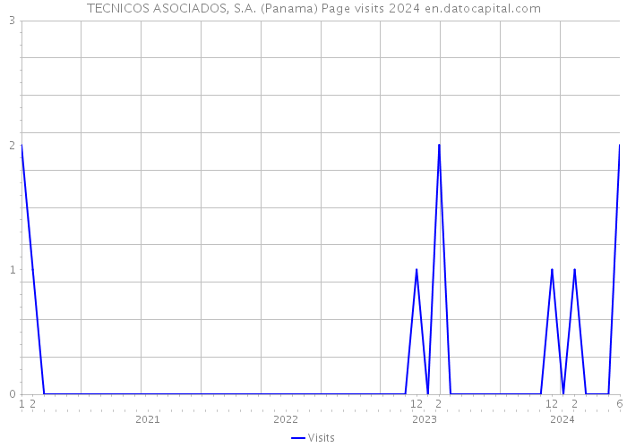 TECNICOS ASOCIADOS, S.A. (Panama) Page visits 2024 