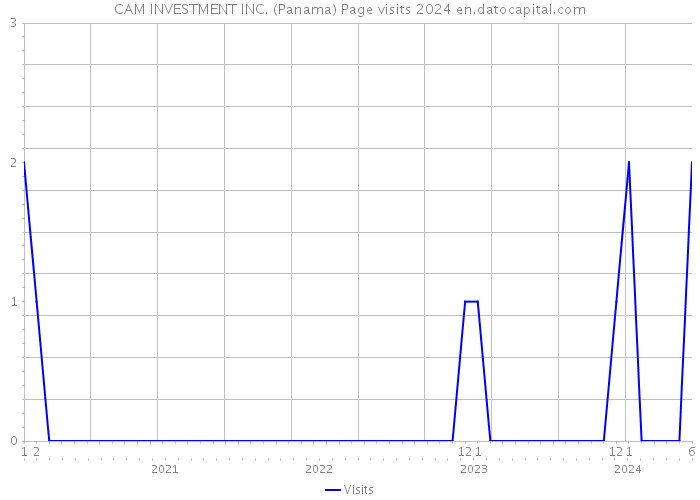 CAM INVESTMENT INC. (Panama) Page visits 2024 