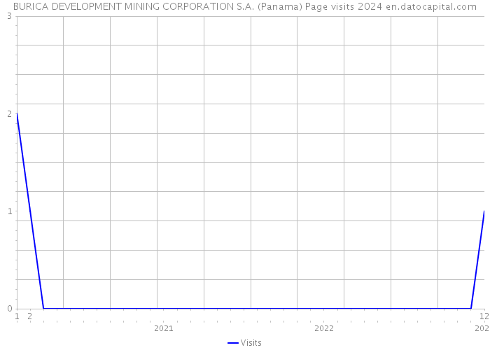 BURICA DEVELOPMENT MINING CORPORATION S.A. (Panama) Page visits 2024 