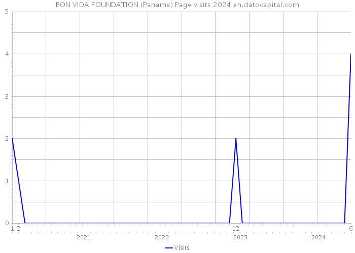BON VIDA FOUNDATION (Panama) Page visits 2024 