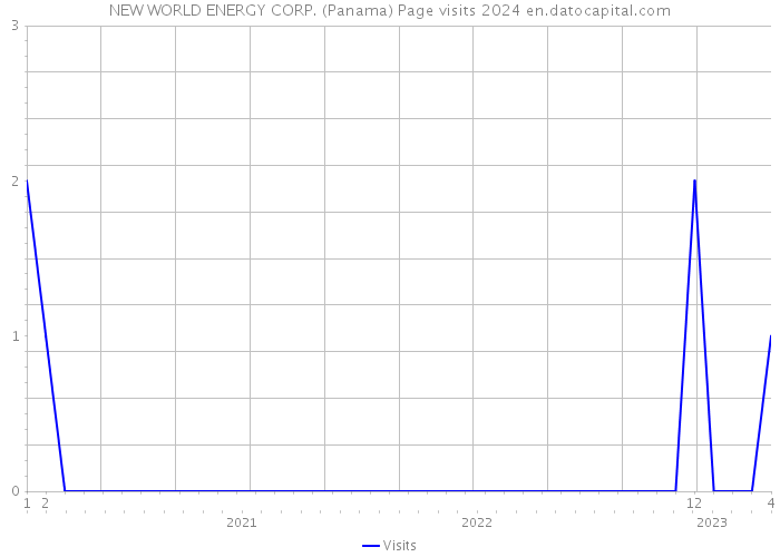 NEW WORLD ENERGY CORP. (Panama) Page visits 2024 
