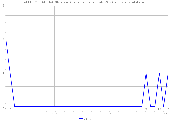 APPLE METAL TRADING S.A. (Panama) Page visits 2024 