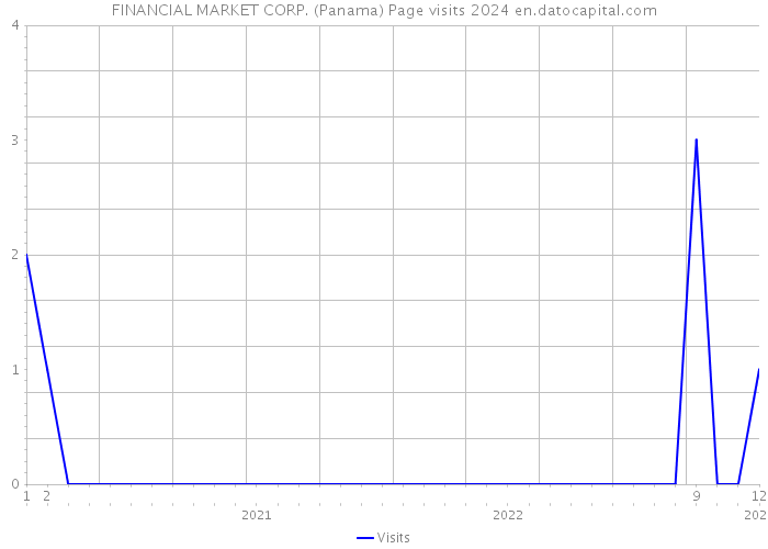 FINANCIAL MARKET CORP. (Panama) Page visits 2024 