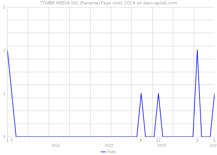 TOWER MEDIA INC (Panama) Page visits 2024 