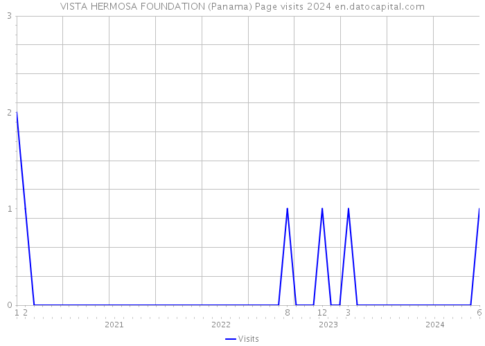 VISTA HERMOSA FOUNDATION (Panama) Page visits 2024 