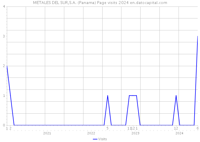 METALES DEL SUR,S.A. (Panama) Page visits 2024 