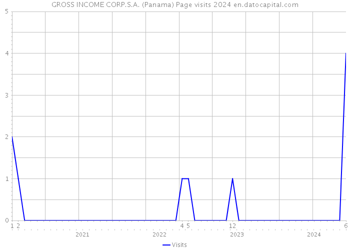 GROSS INCOME CORP.S.A. (Panama) Page visits 2024 