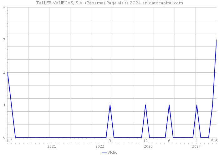 TALLER VANEGAS, S.A. (Panama) Page visits 2024 