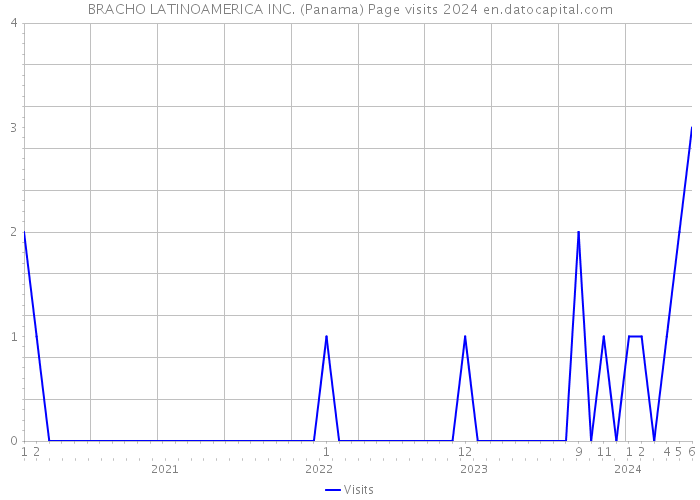 BRACHO LATINOAMERICA INC. (Panama) Page visits 2024 