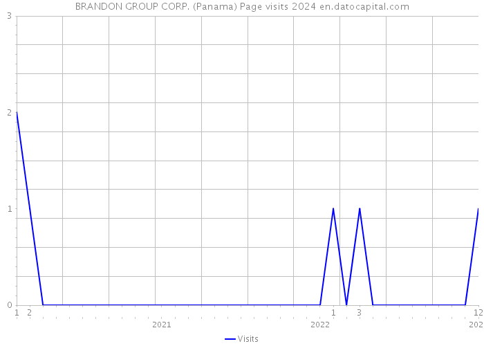 BRANDON GROUP CORP. (Panama) Page visits 2024 