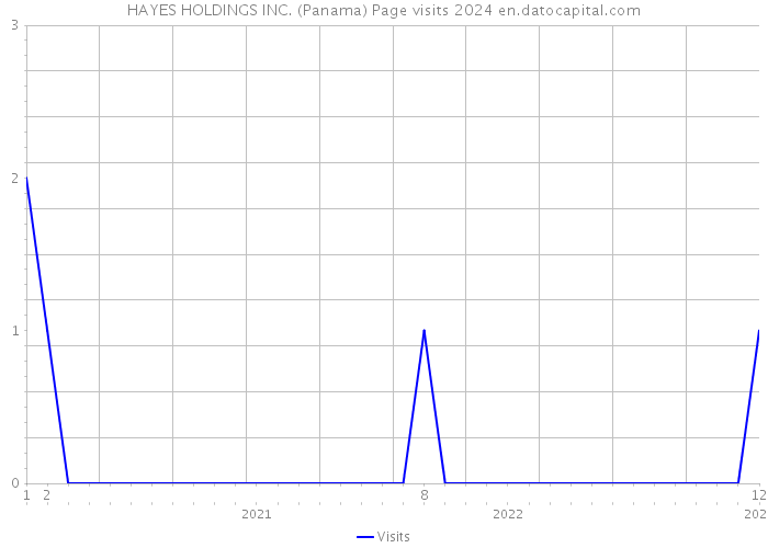 HAYES HOLDINGS INC. (Panama) Page visits 2024 