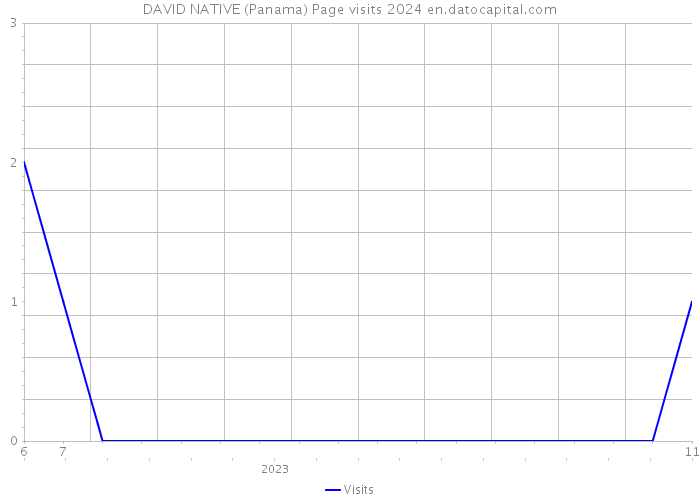 DAVID NATIVE (Panama) Page visits 2024 