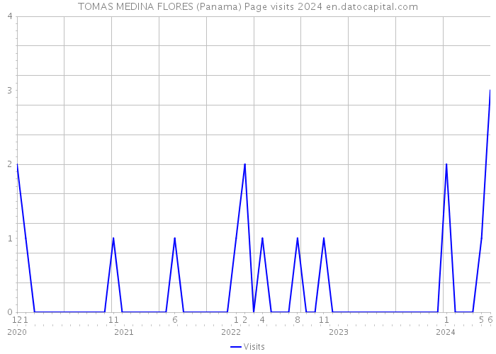 TOMAS MEDINA FLORES (Panama) Page visits 2024 