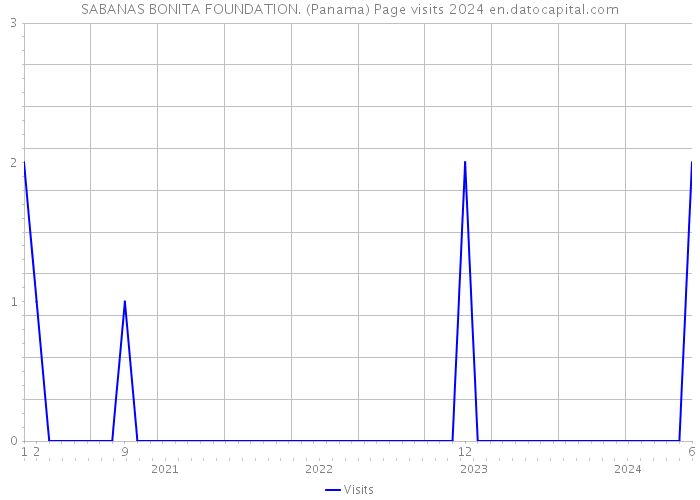 SABANAS BONITA FOUNDATION. (Panama) Page visits 2024 