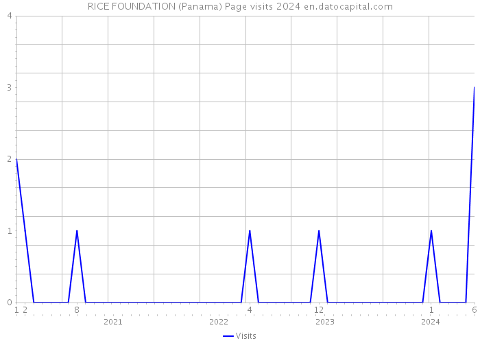 RICE FOUNDATION (Panama) Page visits 2024 