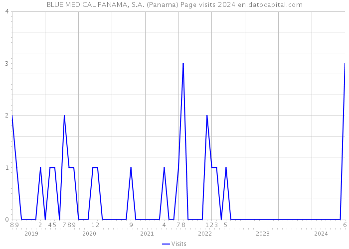 BLUE MEDICAL PANAMA, S.A. (Panama) Page visits 2024 