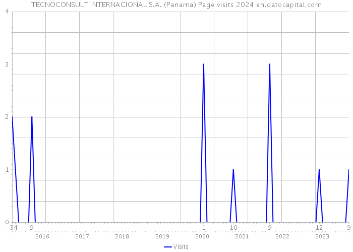 TECNOCONSULT INTERNACIONAL S.A. (Panama) Page visits 2024 