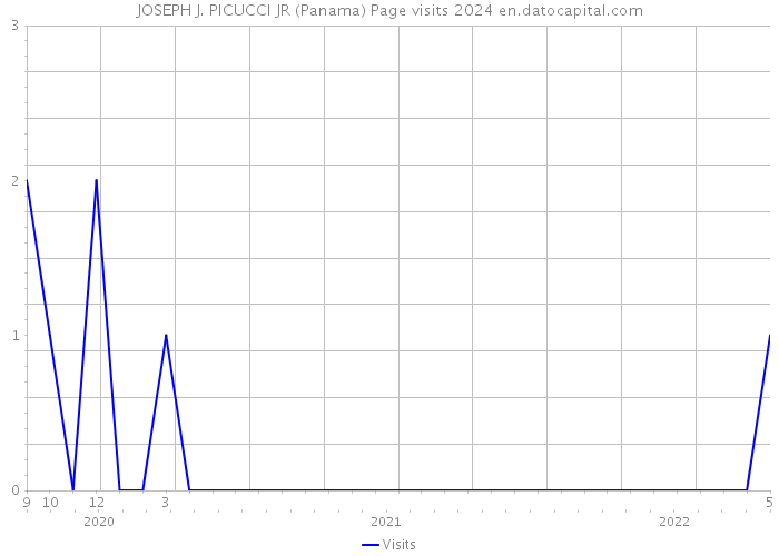 JOSEPH J. PICUCCI JR (Panama) Page visits 2024 