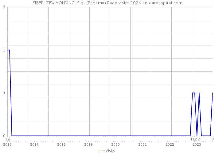 FIBER-TEX HOLDING, S.A. (Panama) Page visits 2024 
