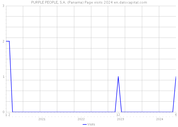 PURPLE PEOPLE, S.A. (Panama) Page visits 2024 