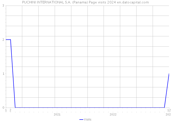 PUCHINI INTERNATIONAL S.A. (Panama) Page visits 2024 