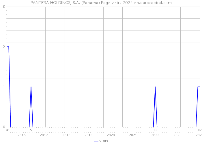 PANTERA HOLDINGS, S.A. (Panama) Page visits 2024 