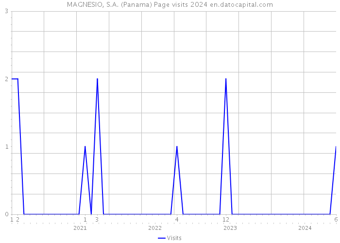 MAGNESIO, S.A. (Panama) Page visits 2024 