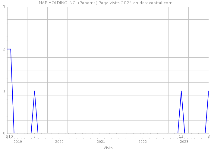 NAP HOLDING INC. (Panama) Page visits 2024 