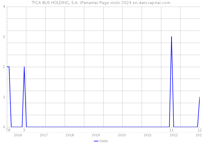 TICA BUS HOLDING, S.A. (Panama) Page visits 2024 