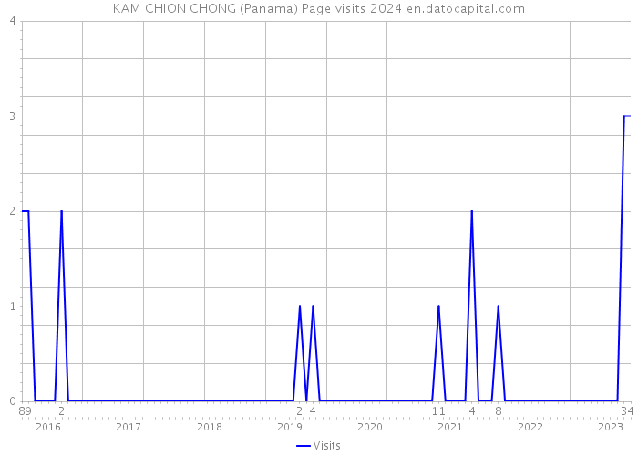 KAM CHION CHONG (Panama) Page visits 2024 