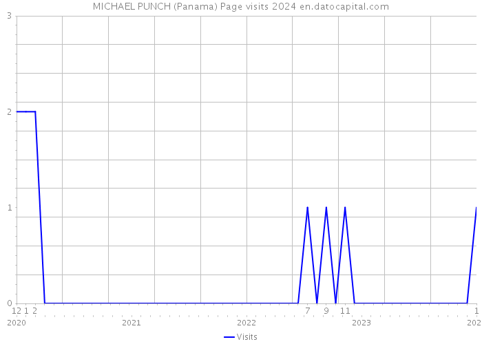 MICHAEL PUNCH (Panama) Page visits 2024 