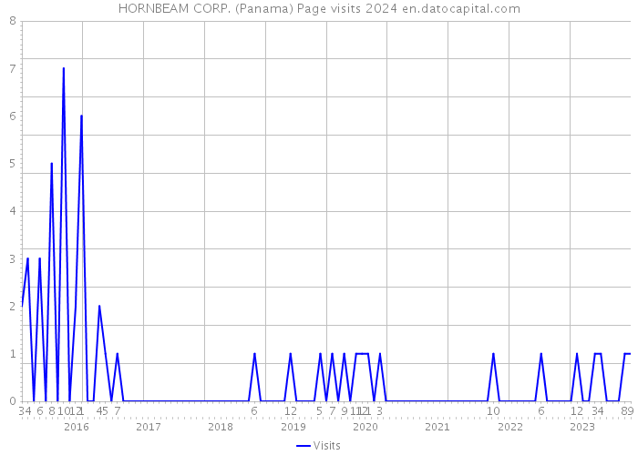 HORNBEAM CORP. (Panama) Page visits 2024 