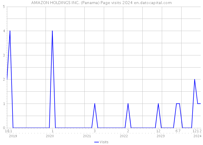 AMAZON HOLDINGS INC. (Panama) Page visits 2024 