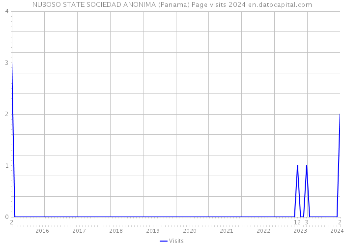 NUBOSO STATE SOCIEDAD ANONIMA (Panama) Page visits 2024 