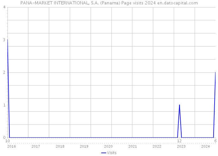 PANA-MARKET INTERNATIONAL, S.A. (Panama) Page visits 2024 