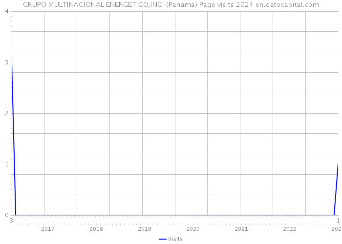 GRUPO MULTINACIONAL ENERGETICO,INC. (Panama) Page visits 2024 