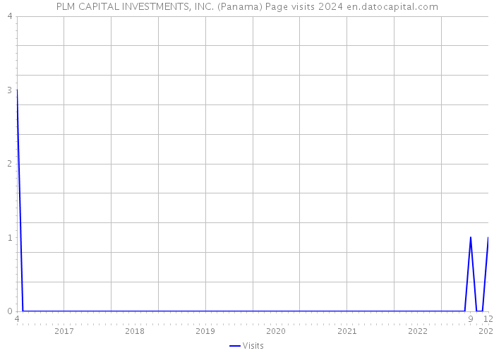 PLM CAPITAL INVESTMENTS, INC. (Panama) Page visits 2024 