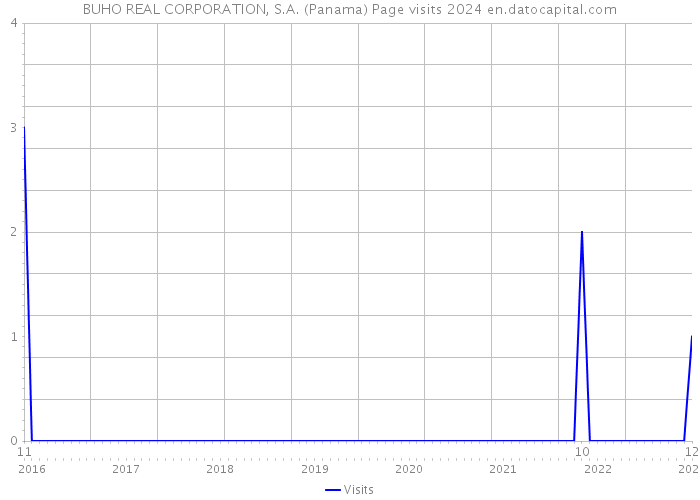 BUHO REAL CORPORATION, S.A. (Panama) Page visits 2024 