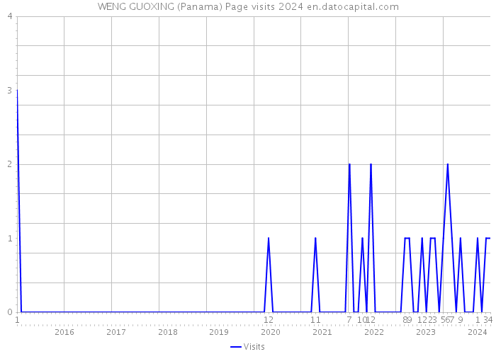WENG GUOXING (Panama) Page visits 2024 