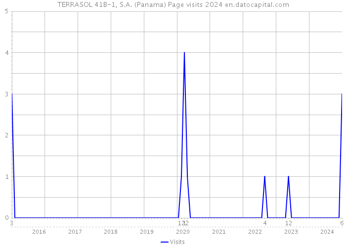 TERRASOL 41B-1, S.A. (Panama) Page visits 2024 