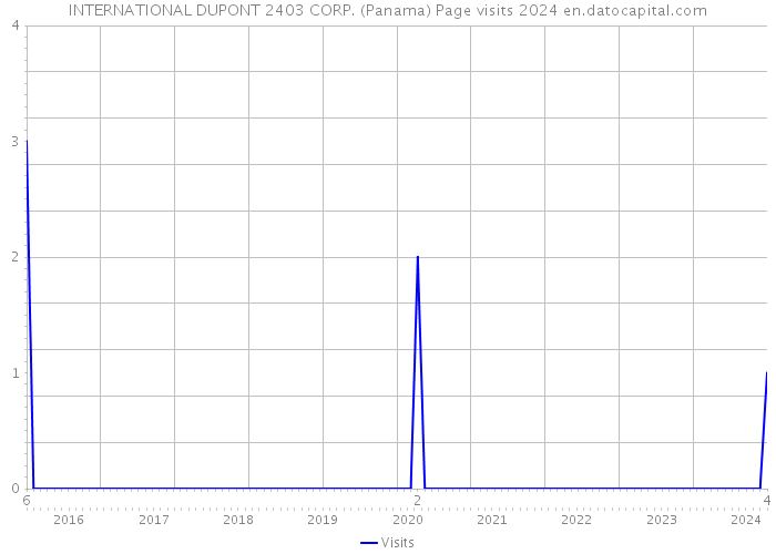INTERNATIONAL DUPONT 2403 CORP. (Panama) Page visits 2024 
