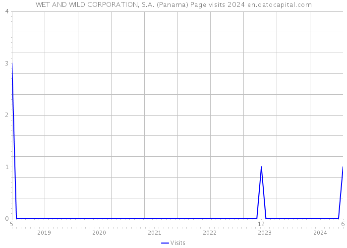 WET AND WILD CORPORATION, S.A. (Panama) Page visits 2024 