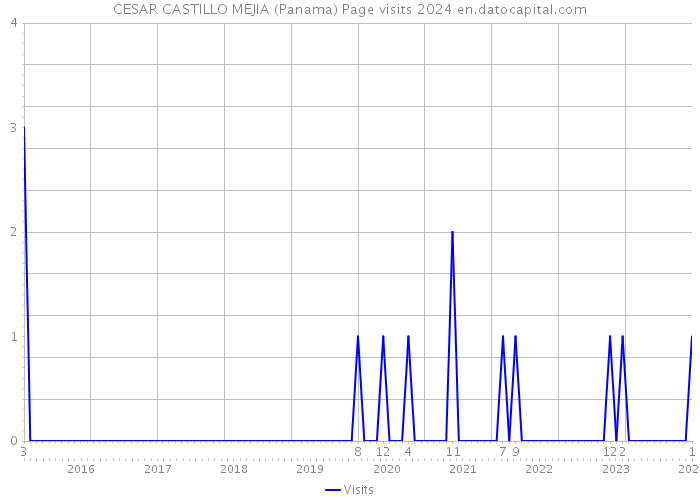 CESAR CASTILLO MEJIA (Panama) Page visits 2024 