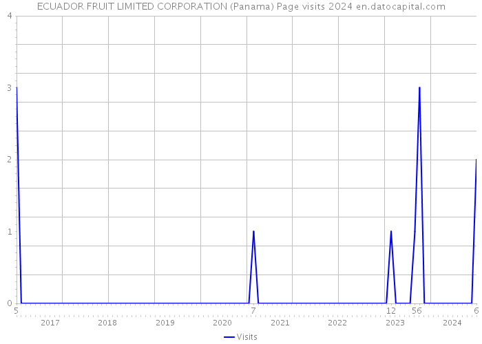 ECUADOR FRUIT LIMITED CORPORATION (Panama) Page visits 2024 